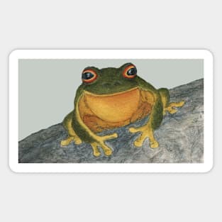 Frog on a rock Magnet